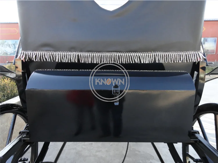 Рисунок 6 - OEM электрическая королевская каретка