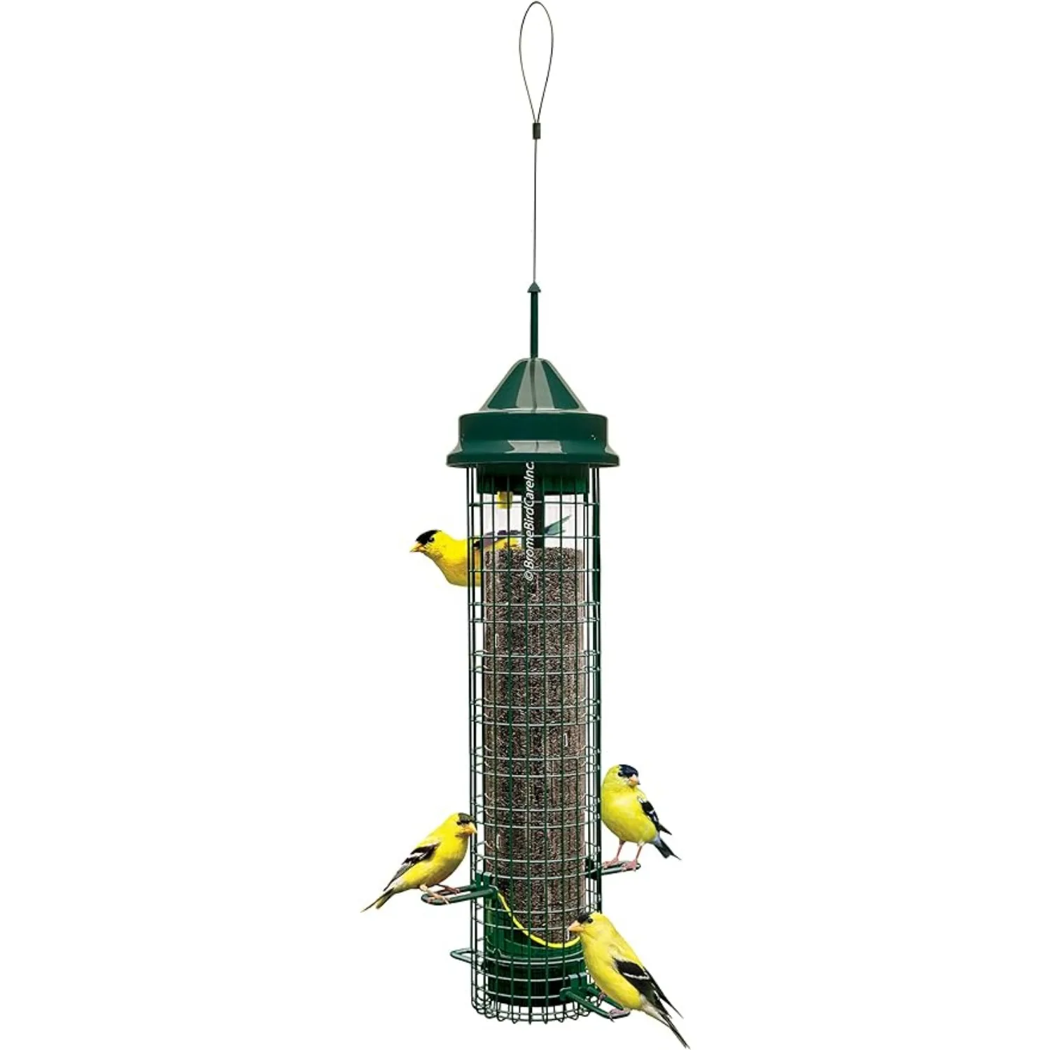 Squirrel Buster Finch Squirrel-proof Bird Feeder W/4 Metal Perches & 8 Feeding Ports 2.4-pound Thistle/Nyjer Seed Capacity