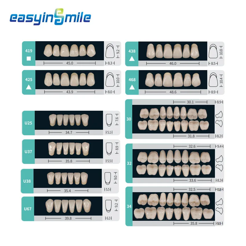 84/96pcs Dental Teeth Model Denture False Teeth DIY Material Anterior Posterior Teeth Education Model A1/ A2/ A3 6