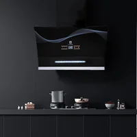 Professional Wall Mounted Smart Range Hood 60cm Extractor Hood with Convertible Stainless Steel Filter Control Kitchen Hood 1