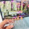 50 pcs 17x22x80mm Glass Bottles Cork Stopper Mini Test Tube Jars Tiny Containers for DIY Crafts Wishing Bottles Wedding Favors 5