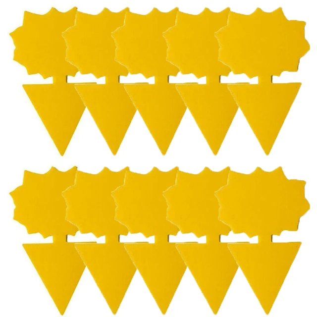 10pcs sunflower