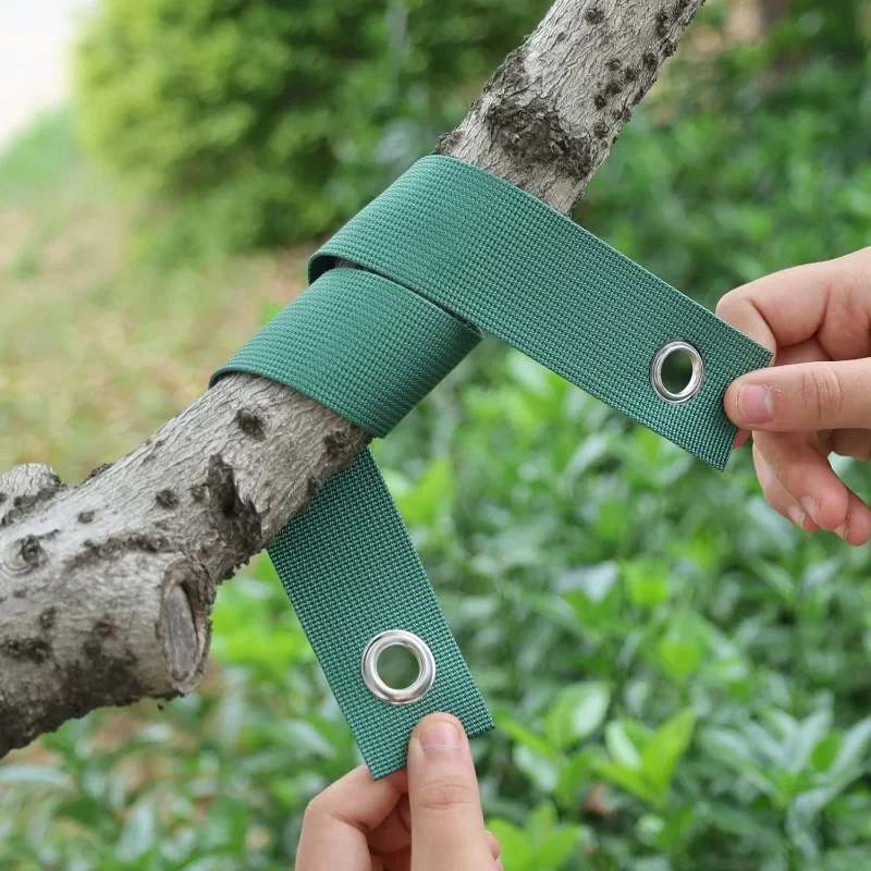 10/1pcs Tree Straps For Staking Tree Support Straps Newly Planted Saplings Anti-Hurricane Protection Straightening Tools 40cm plastic plant supports plant stem support plant support stick plant support connector plant support racks tree branch fixator