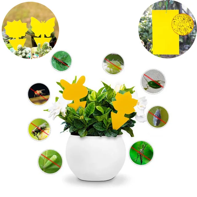 5x 강력한 끈끈한 트랩으로 해충을 襖파하고 집을 곤충 없는 지대로 만드십시오.