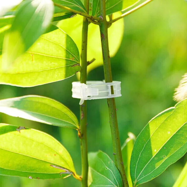 Növénytámogató Klipek Kerti Támogató Függőlegesen És Készítsenek Növényeket Csőzsikárok Szőlőbab Zöldségek Gyümölcsök Rózsa Növekszenek Egyenesen - Image 4