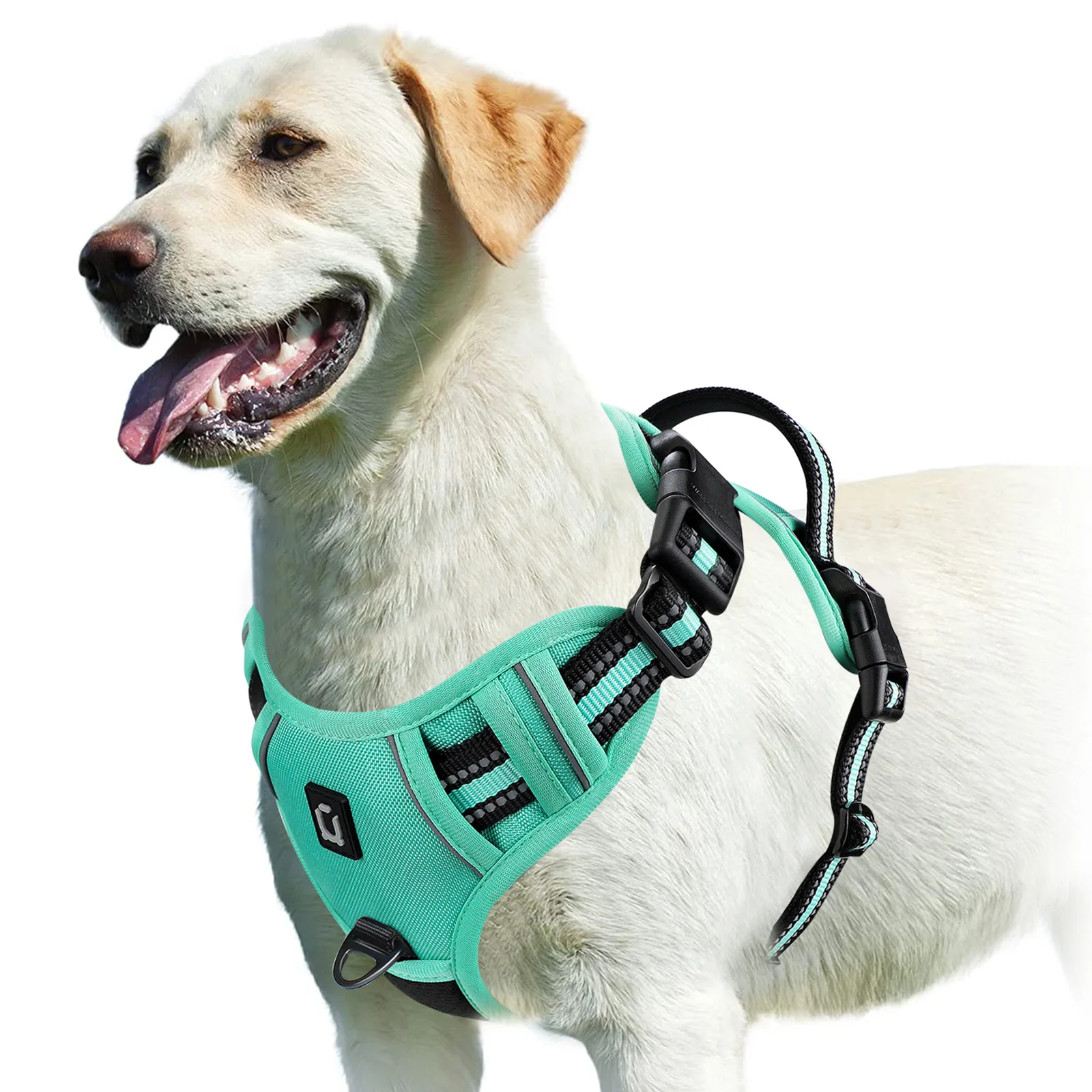Comfort-Fit Adjustable Dog Harness with Control Handle