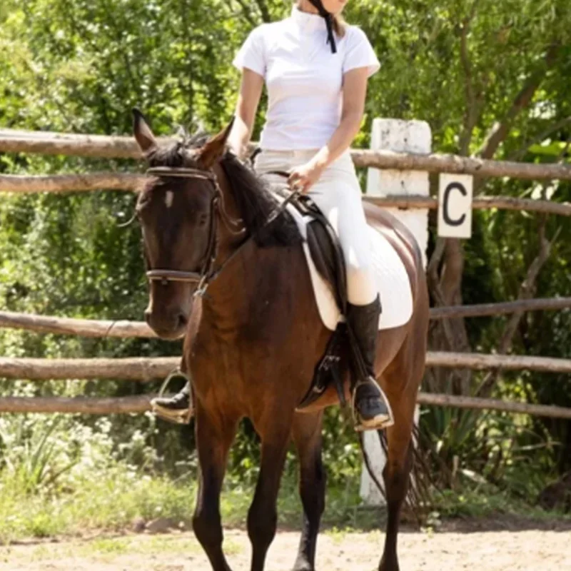 Conjunto de ropa de equitación para mujer, pantalones ecuestres de silicona de asiento completo, trajes deportivos, Leggings de equitación, camisas, Tops a juego