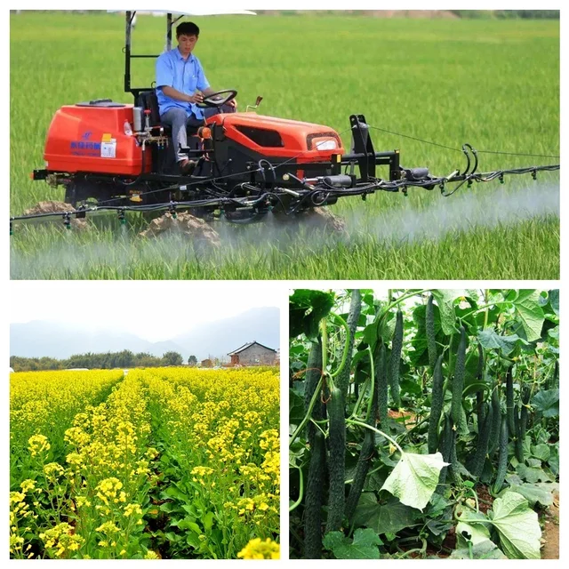 3Pcs 15G Boron Műtrágya Nátrium -Borát Egy Nyomkövetés Növény Élelmezés Növelje A Növekedés Gyümölcskimenetet Hidroponika Farm Zöldség - Image 4