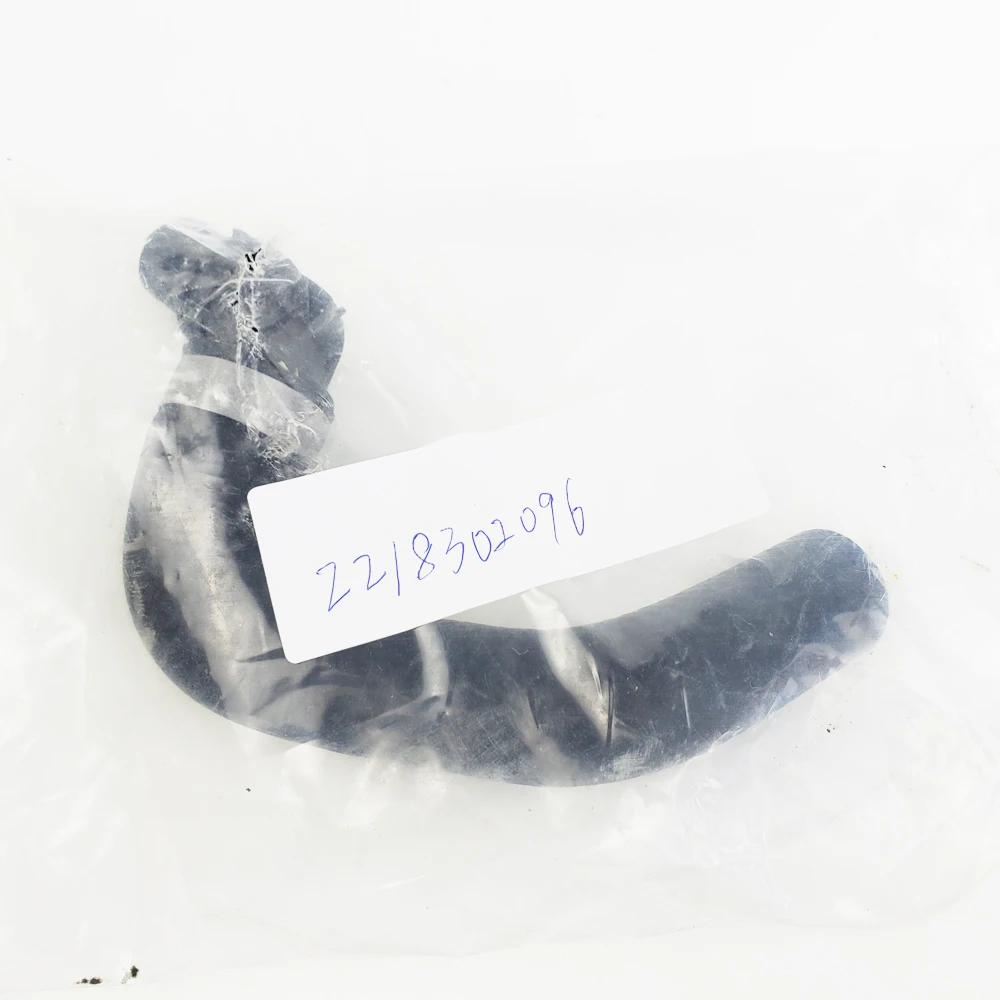 ޸ 2218302096  ð ȣ, 