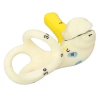Ear Semicircular Canal Cochlea Anatomical Model Ear Labyrinth Model Human Ear Model Inner Ear model 5X Magnification Clear Model 1