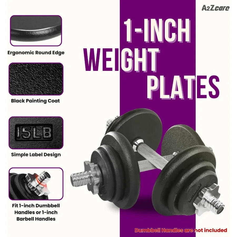 1-Inch Standard Weight Plates - Cast Iron Dumbbell Plates
