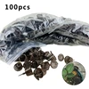 100 Pcs/pack Plant Fertilizer Baskets With Lid Cultivate Park Root Nursery Pots Bonsai Agriculture Aquarium Porta 1