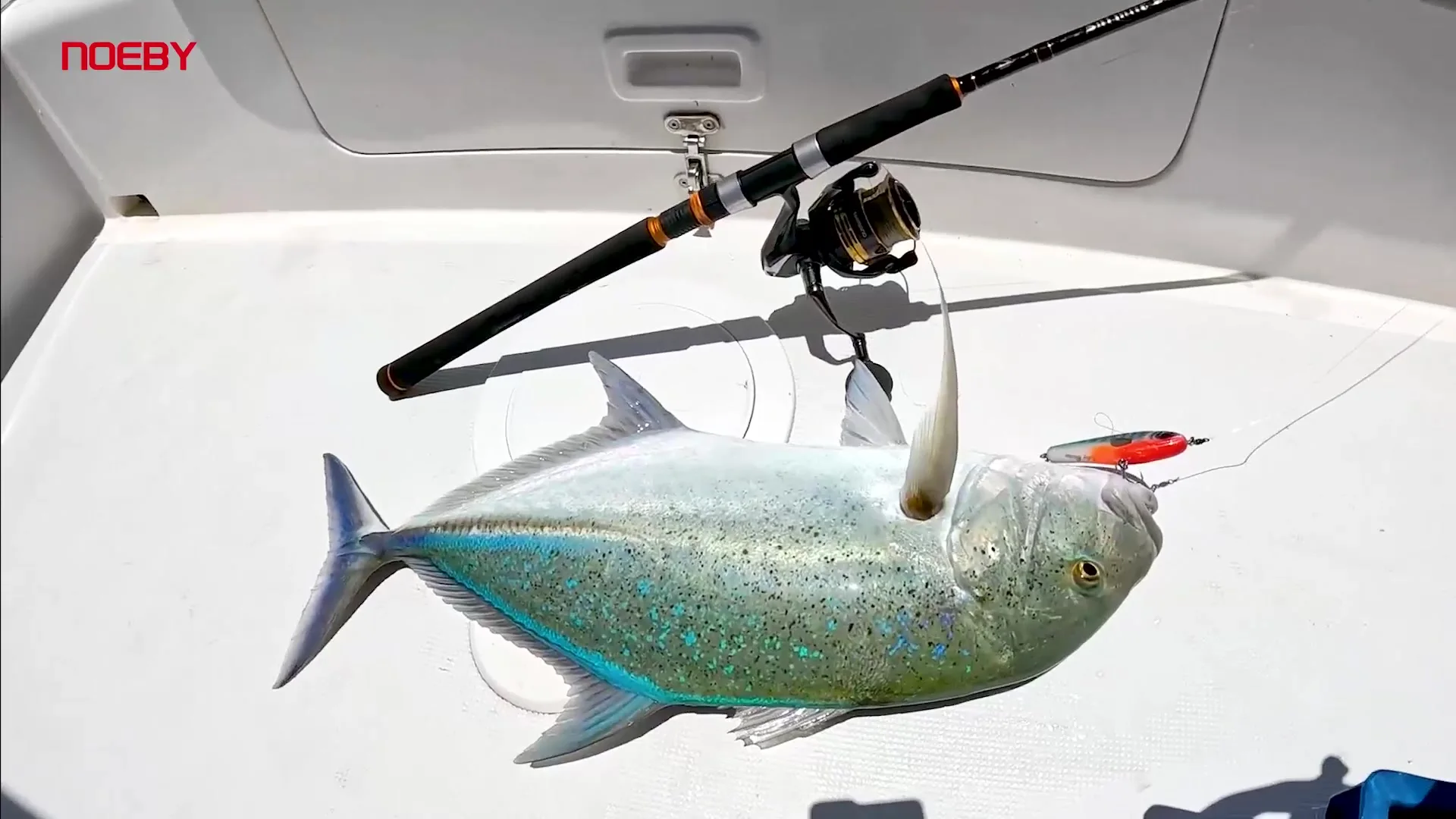 Noeby Shore Jigging Fishing Rod 2.49m 2.75m 2.9m Fuji Guide