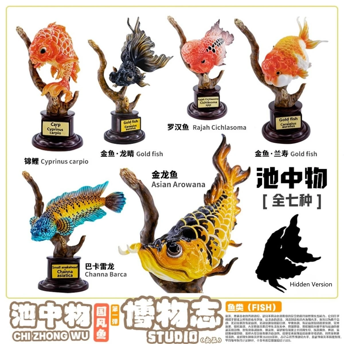 

Things In The Pond 01 Fish Model Gold Fish Rajah Cichlasoma Asian Arowana Cyprinus Carpio Animal Figure Toys Gift Decoration