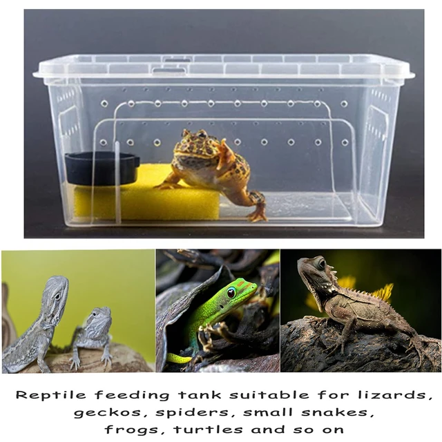 Reptile Breeding Box Reptile Terrarium Transparent Transparent Animal Habitat Cage for Snake Gecko Silkworm Reptile 3