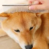 Stainless Steel Dog Comb Long Thick Hair Fur Removal Brush 16/19cm Pets Dog Cat Grooming Dematting Combs for Shaggy Dogs 2
