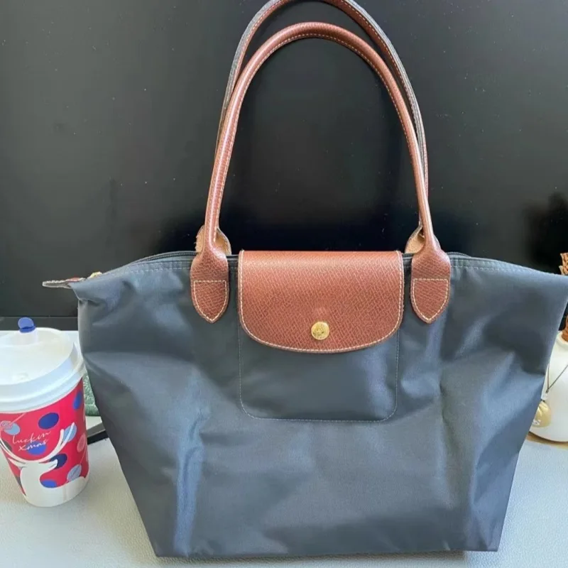 

2024 New Arrival Classic Tote Bag Versatile Folding Bag Women's Handbag Long Handle Shoulder Bags Dumpling Commuter Hobos Bags