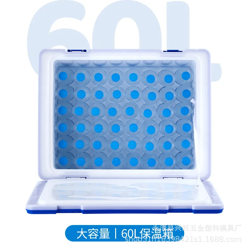 Classic 60L Incubator Outdoor Vehicle-Mounted Freezer Camping Food Storage Fresh Cooler