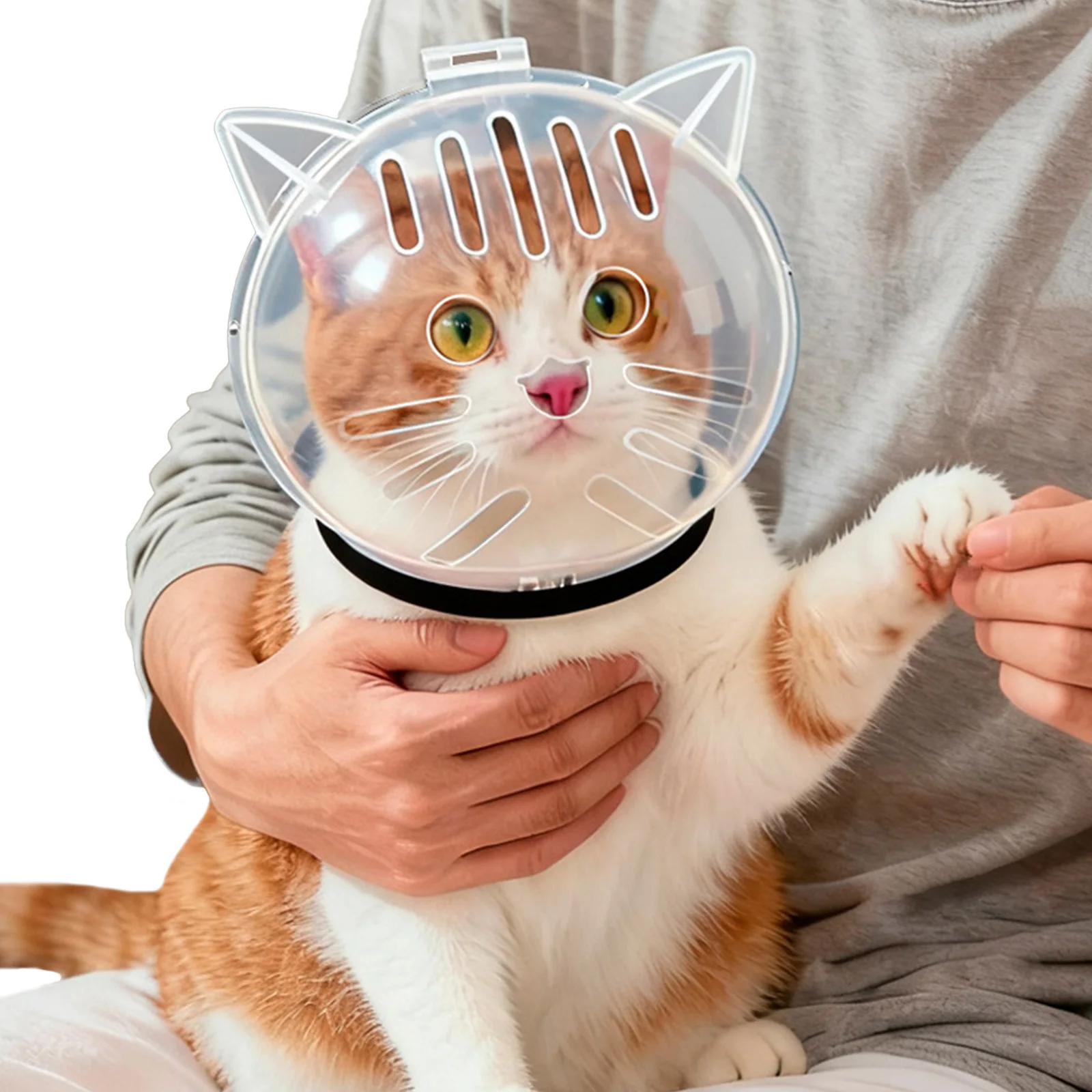 고양이 헬멧 투명 새끼 고양이 우주비행사 헬멧 통기성 방충 헬멧 미용 목욕 면도 및 발톱 다듬기용