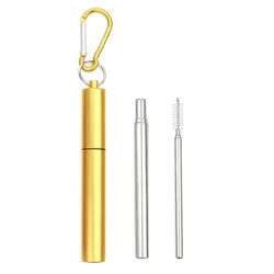 Portable Telescopic Stainless Steel Reusable Straw Set with Cleaning Brush (Gold)