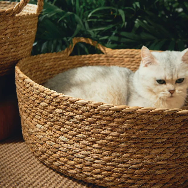 OUZEY Rattan Weaving Basket For Cat Comfortable Sleeping Pet Dog Bed Summer Cool Weave Cat House Donut Round Kitten Puppy Bed 3
