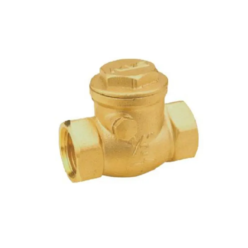 

4 "ÇALPARALI CHECK VALVE