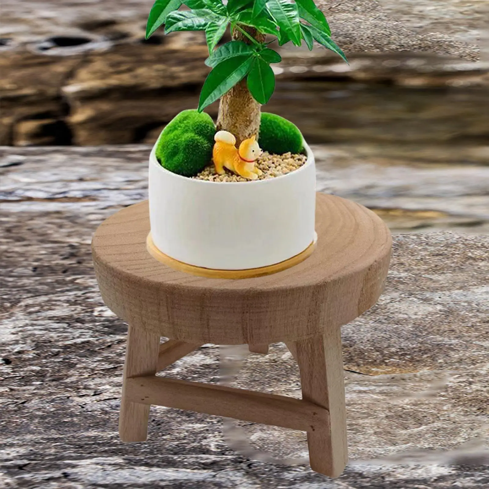 Wooden Stool for Plant Pedestal Rustic Display Stand Indoor Outdoor Plant Stool for Office Bonsai Garden Desktop Home Decoration Wooden Stool for Plant Pedestal Rustic Display Stand Indoor Outdoor Plant Stool for Office Bonsai Garden Desktop Home Decoration