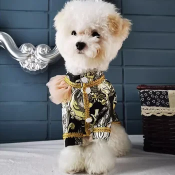 Luxury Embroidered Dog Suit 3