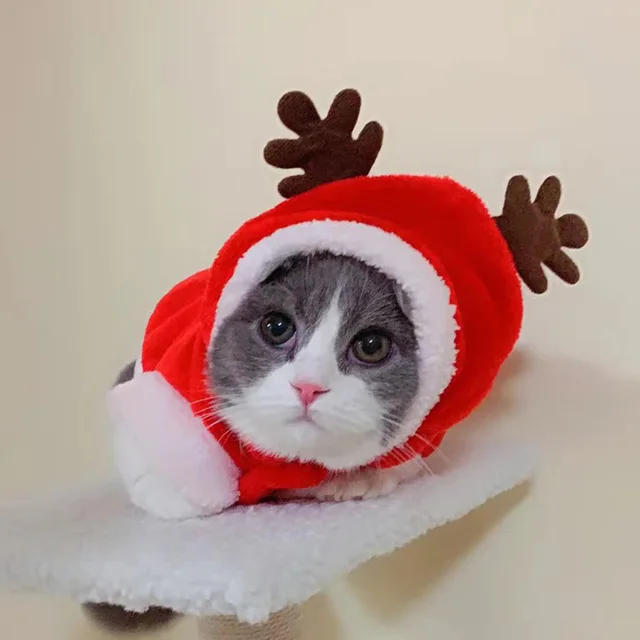 Christmas Sphynx Cat Hooded Sweater Winter Warm Pet Costume for Cats Gotas Katten Garfield Clothes Sweatshirt mascotas Clothing 4