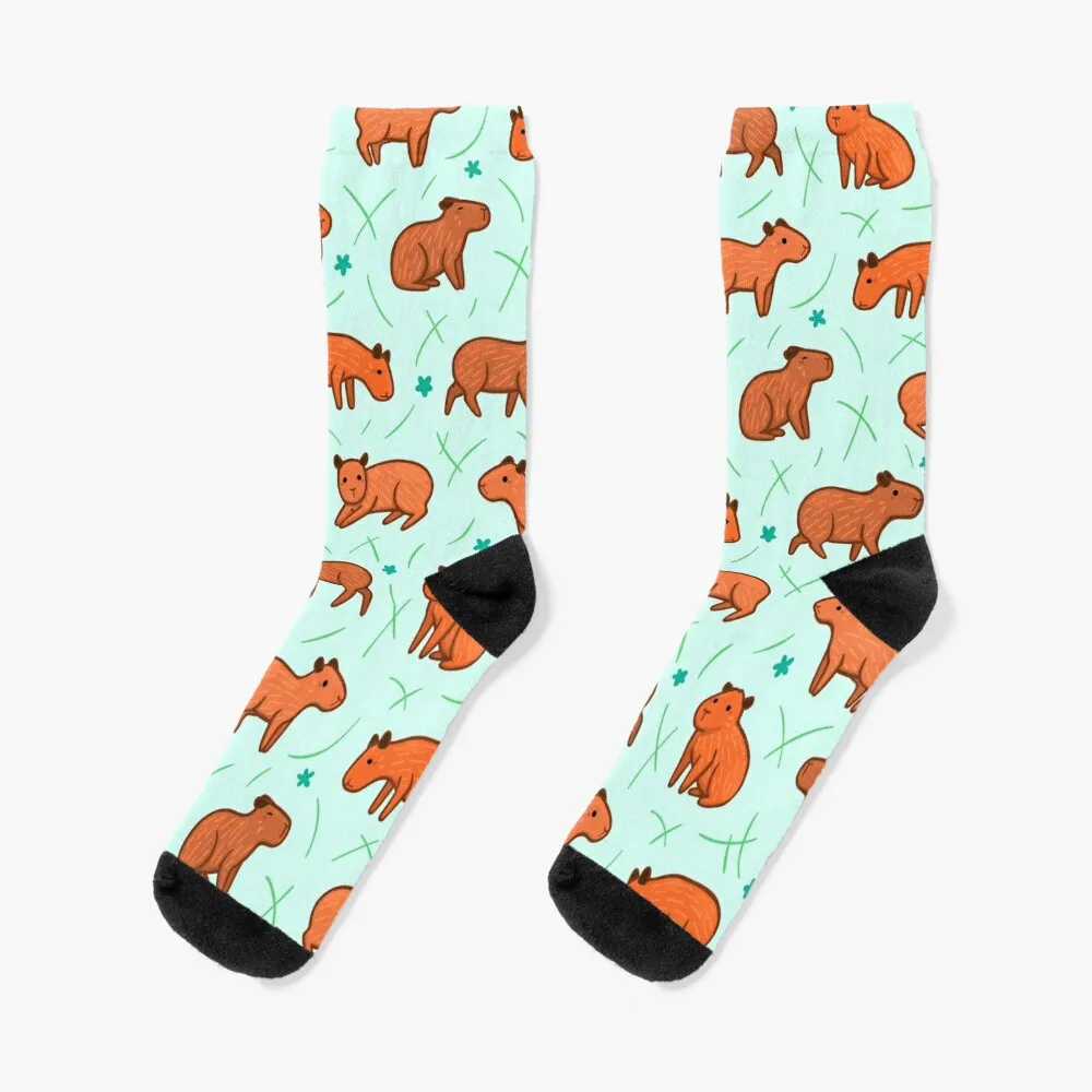 Capybara Pattern Socks stockings for men socks funny