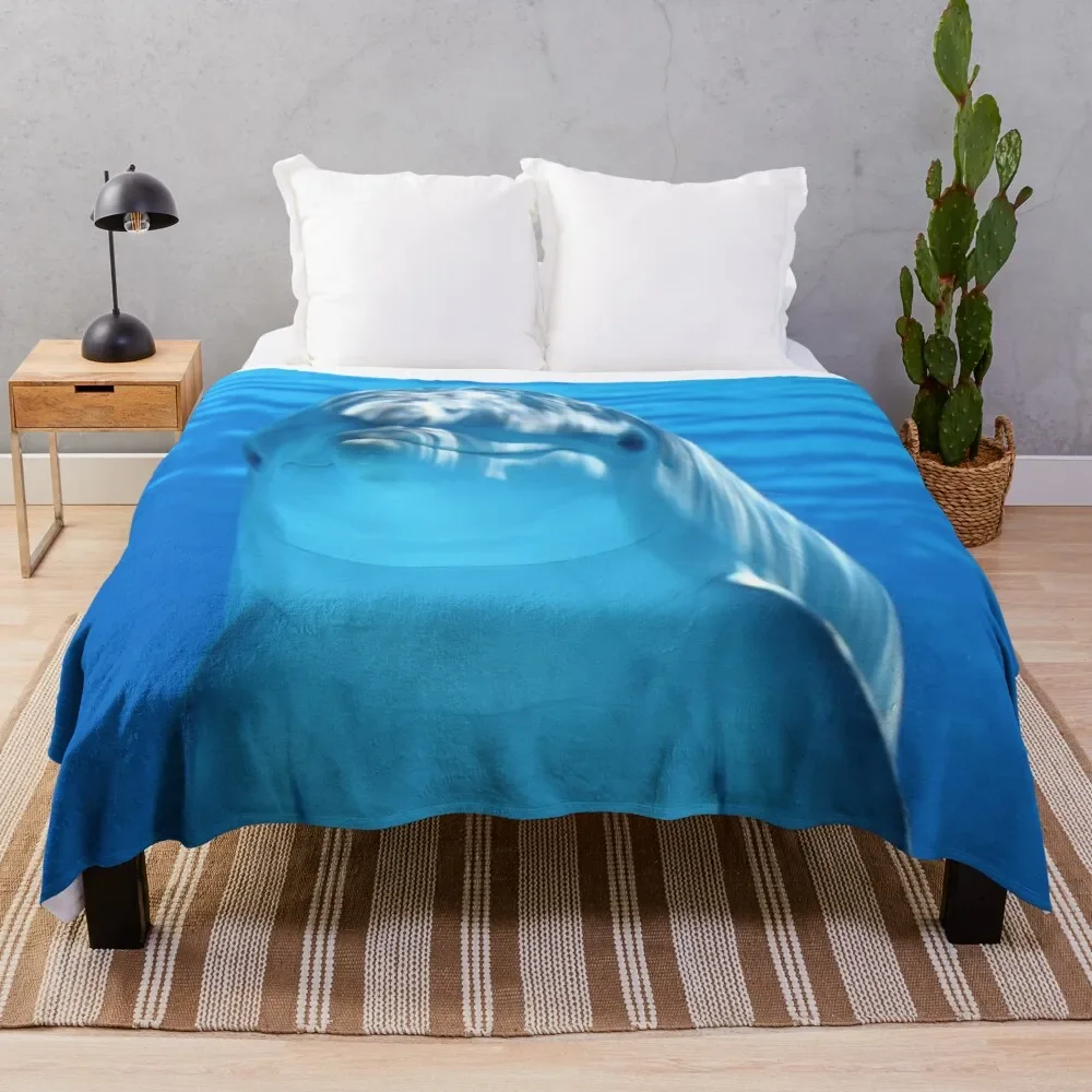 ������ ���� ���� ����Ʈ ������ ���, ħ�� ���� ����, �淮 ���� ķ�� ������ ũ��, ��� ���ο�, �����