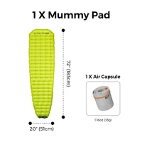 R09 Mummy