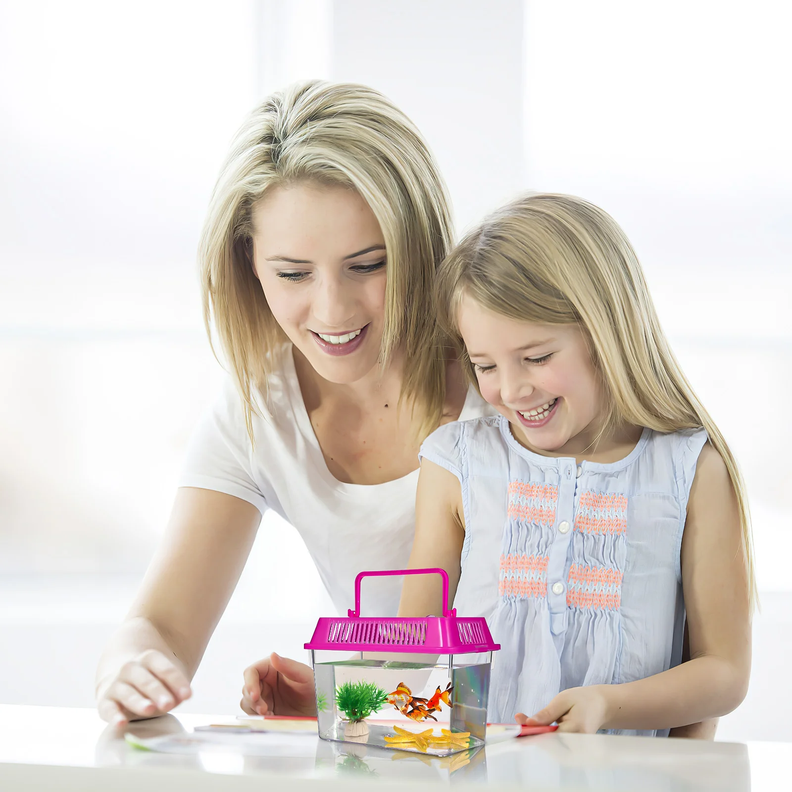 4 Pcs Mini Portable Fish Tank Small Turtle Accessories for Transparent Tortoise Holder Plastic Breeding with Cover Child