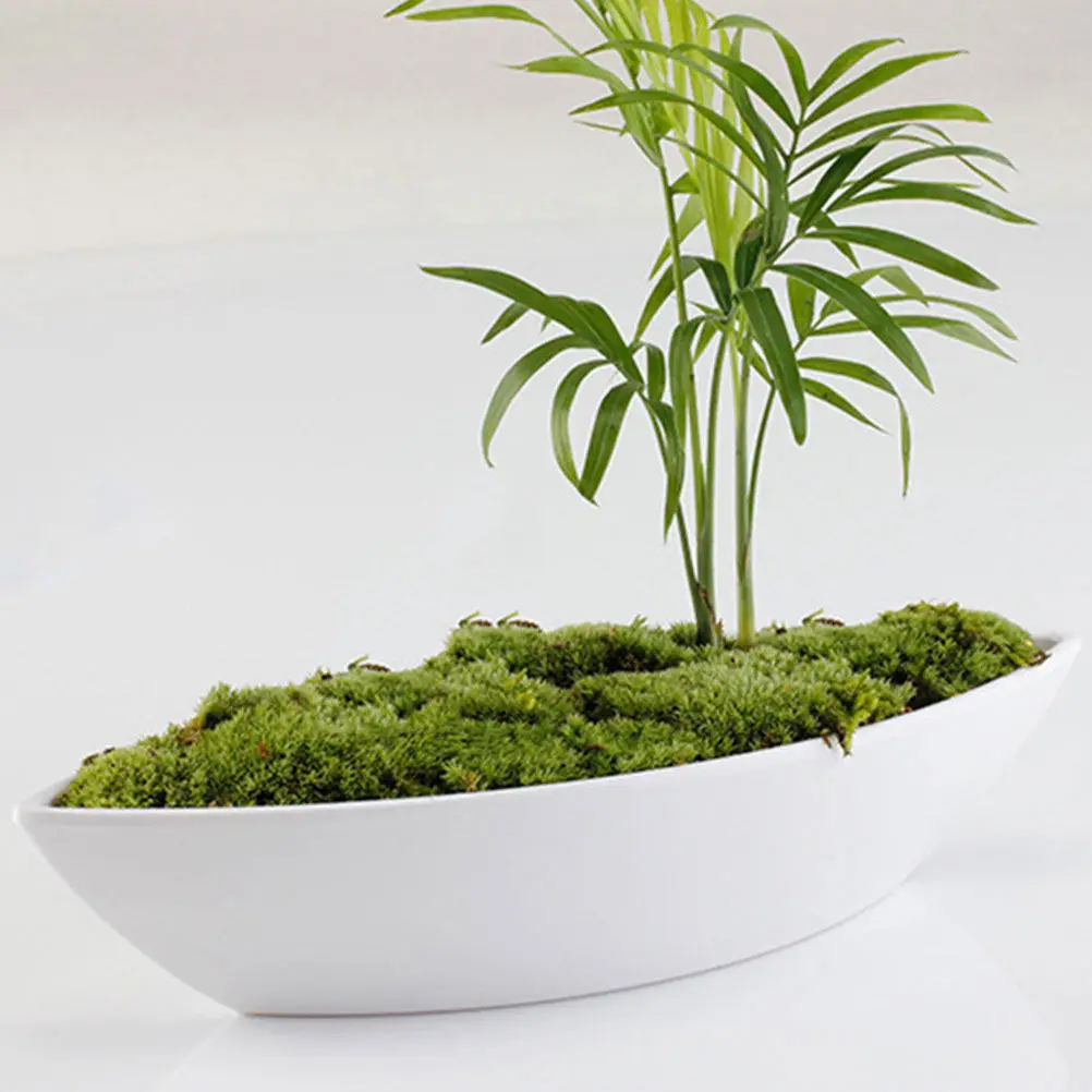 30개입 흙삽 정원 도구, 고강도 플라스틱 인체공학적 디자인, 미니 조경 다육 식물, 차 재배용 창의적인 디자인