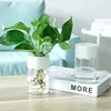 Mini Hydroponic Flower Pot Home Vase Decor Transparent Imitation Glass Soilless Plant Pots Green Plants Pot For Home Decoration 5