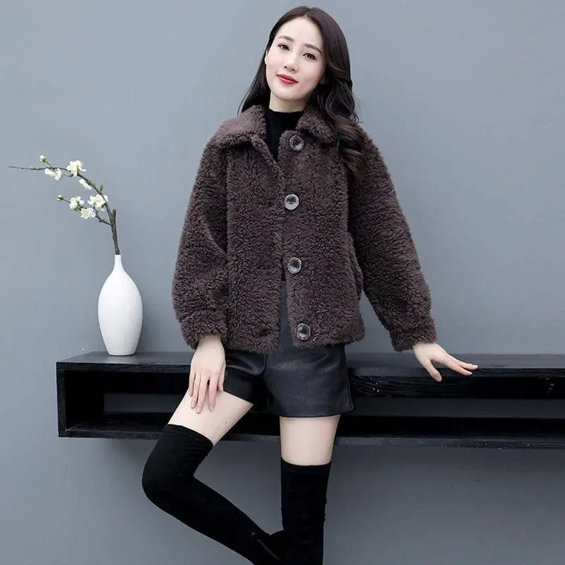 Women's Faux Fur Coat, Loose Lamb Wool, Short Parkas, Casual Outwear, Thick, Warm, Monochromatic, Fashion, Winter, New, 2024