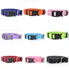 Adjustable Pet Collars Nylon Puppy Kitten Collar Strong And Durable Neck Band Suitable For Small And Medium Dogs And Cats 2