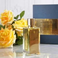 Parfum woody épicé unisexe, 100ml, chaud, intense, audacieux, captivant, longue durée, parfum de Niche avec Style distinctif et sophistiqué 3