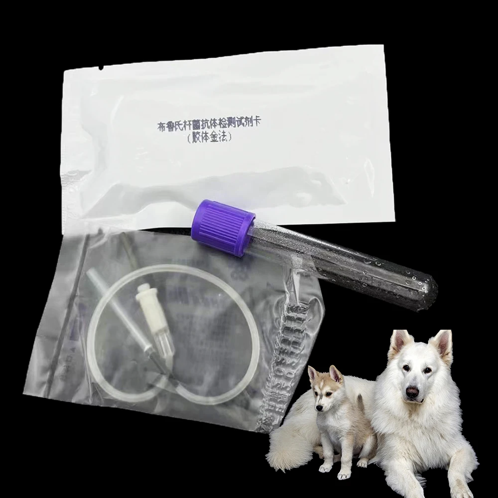 Pet Dog Canine Brucellosis Test Strip Brucella Rapid Detection Card Brucellosis Paper Serum Disposable Clinic Supplies