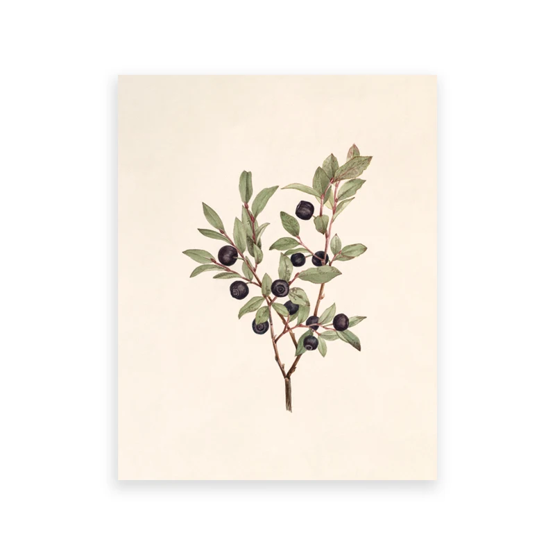 30x40 cm No Frame