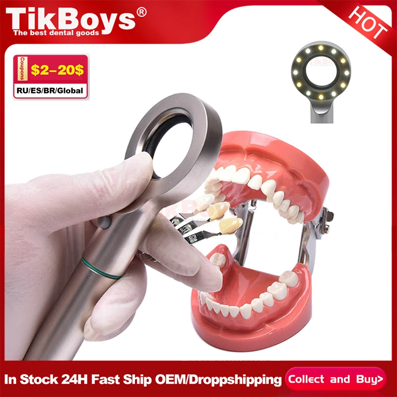 

Dental Model Teeth Model Gum Teeth Teaching Model Standard Dental Typodont Model Demonstration With Removable Tooth 200H