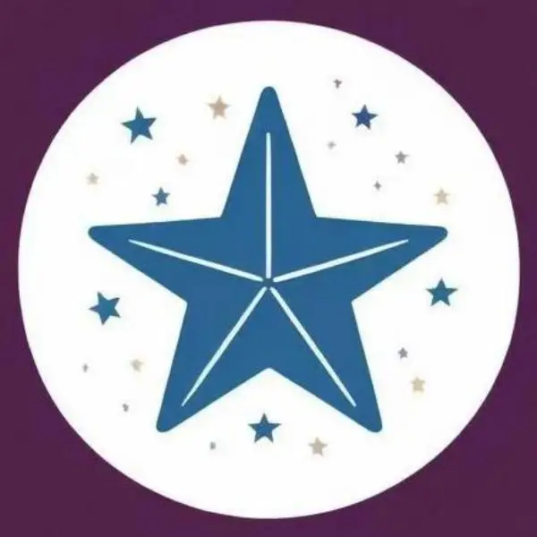 Little Star YX Store