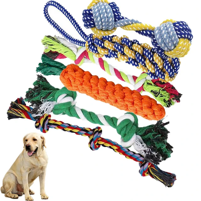 Interactive Dog Toys Rope Ball Toy For Play Chewing Dog Training Toys  Portable EVA Ball Pet Supplies For Small Large Dog