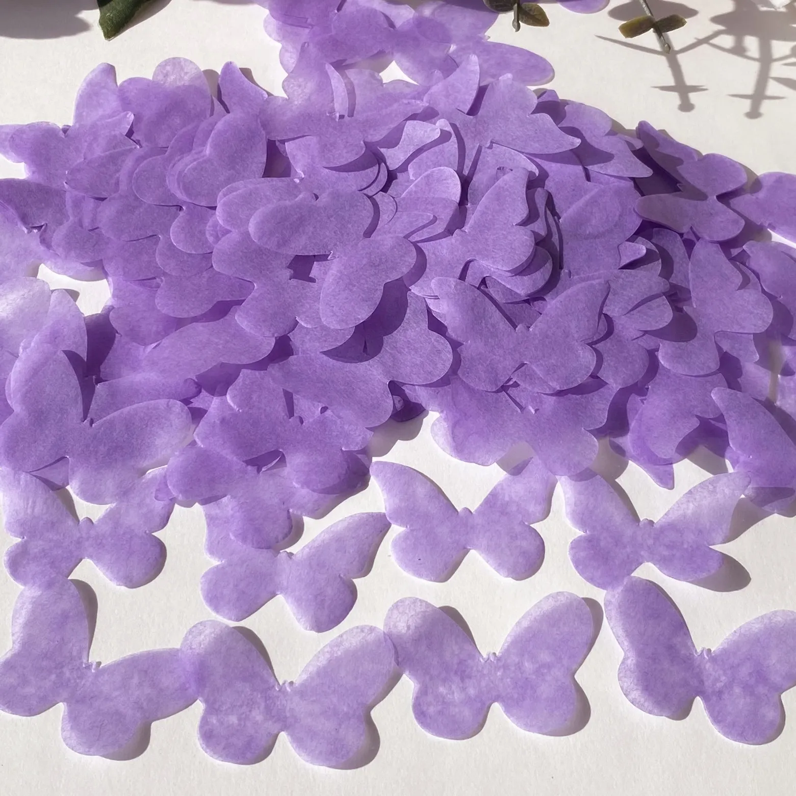 Coriandoli biodegradabili a forma di farfalla per matrimonio: foglie di