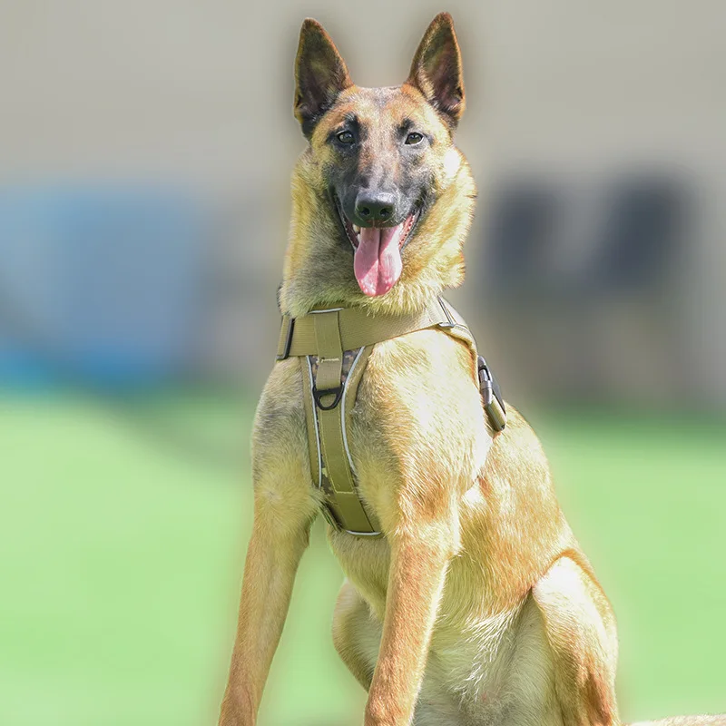 german shepherd vest