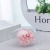 10 Pcs Egg Decoration Box Clear Fillable Ball Transparent Pendants Easter Party Supply Plastic 3