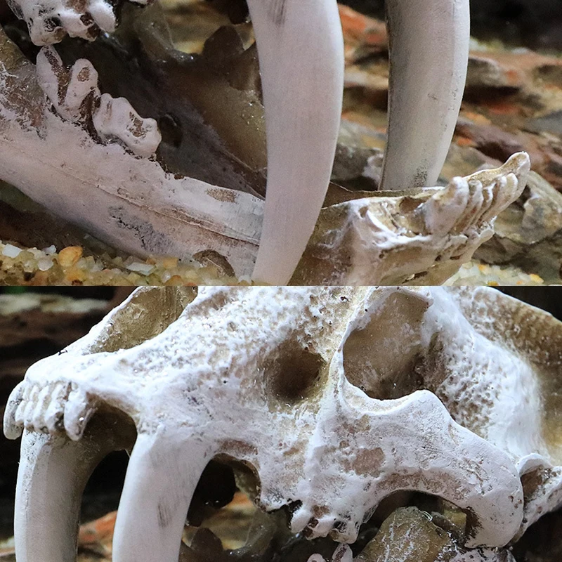 Title 12, Simulation Resin Animal Skull Ornament DIY Aqua...