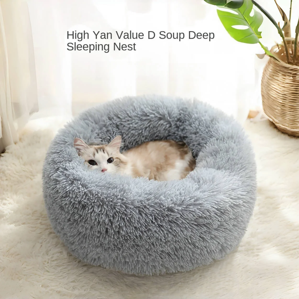 Cama Para Gato Y Perro Pata Tampado Nido Con Coju00edn Extrau00edble Tera  Lavable Suave Cachemir