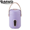 110V Electric Kettle Health Tea Water Boiler Stew Hot Pot Soup Porridge Slow Cooker Rice Cooking Heating Lunch Box Food Warmer 1