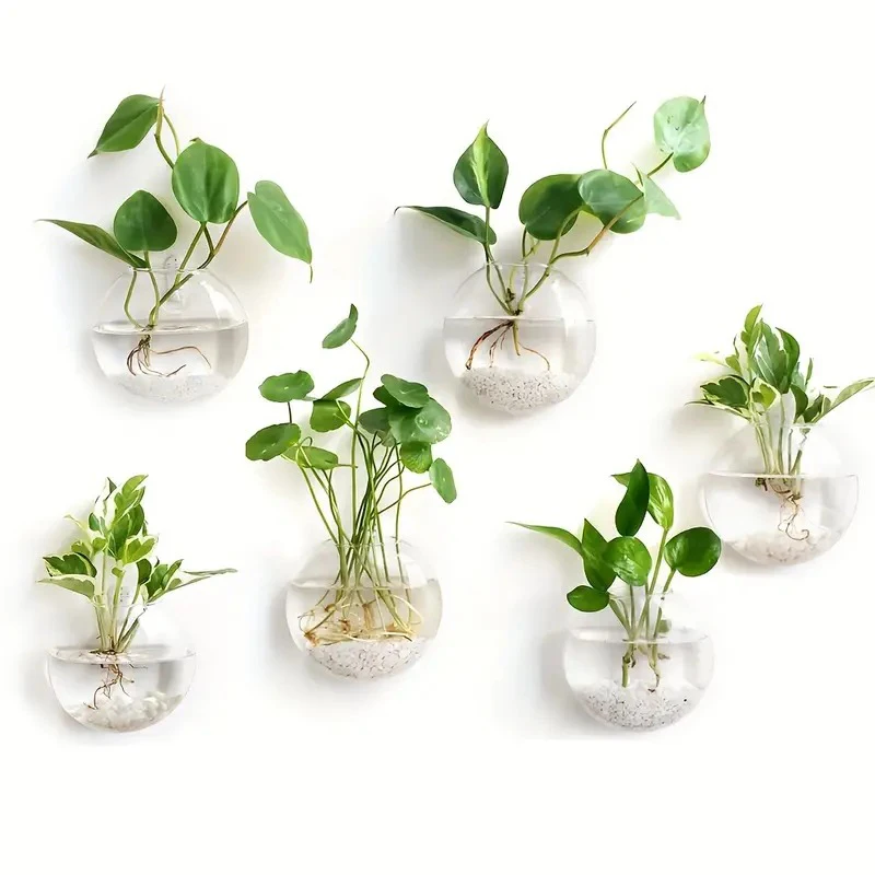 Wall-Mounted Glass Plant Terrarium 2
